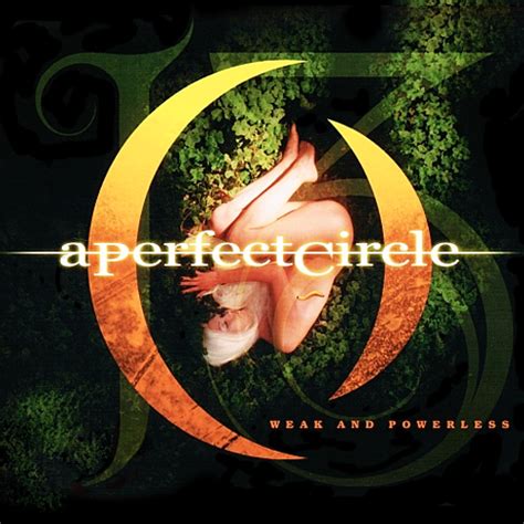 Rock Album Artwork: A Perfect Circle - Thirteenth Step