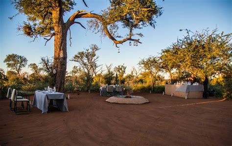 Madikwe Game Reserve - Africa Destination - Micato Safaris