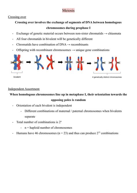 Evolution and Biodiversity Notes | Biology H2 - GCE A Level | Thinkswap