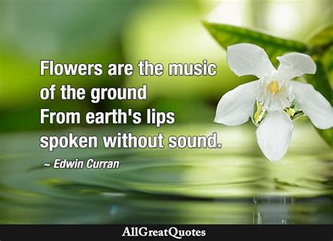 Flower Quotes - AllGreatQuotes