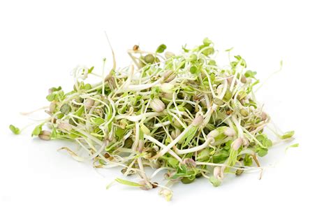 Salad Sprout Mix – Hometown Seeds