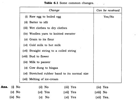 NCERT Solutions for Class 6 Science Chapter 6 Changes Around Us - Bhavy Education