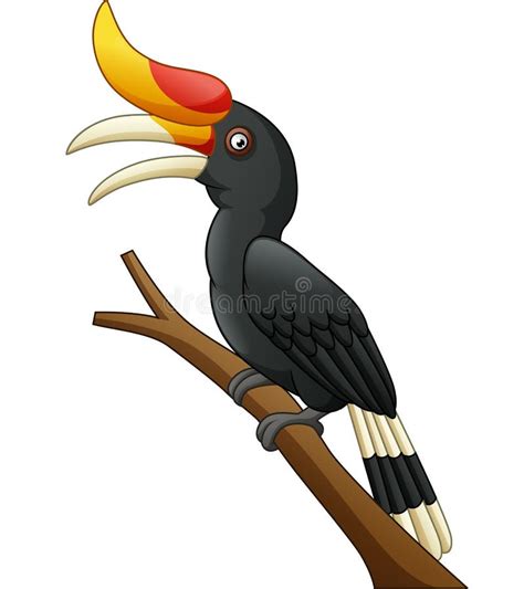 Flying Hornbill Stock Illustrations – 170 Flying Hornbill Stock Illustrations, Vectors & Clipart ...