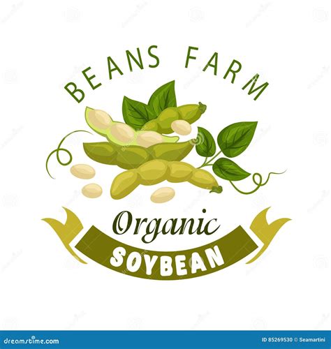 Soybean and Legume Beans Pods Vector Poster Stock Vector - Illustration ...