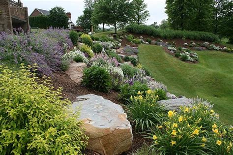 Tips to choose best hillside landscaping packages | Landscape Design