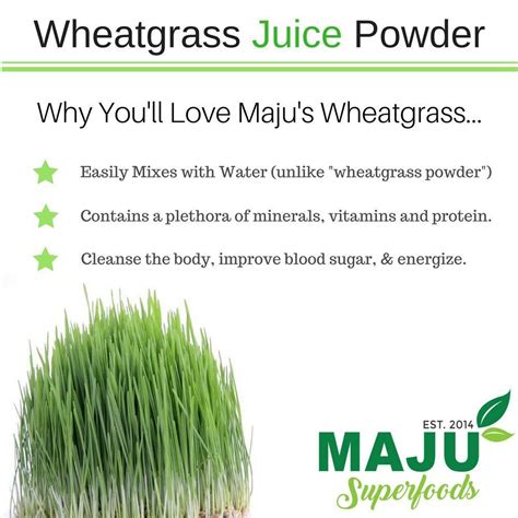 Wheatgrass Juice Powder | Maju Superfoods