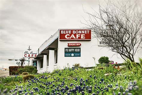 Blue Bonnet Cafe Photograph by Scott Pellegrin - Fine Art America