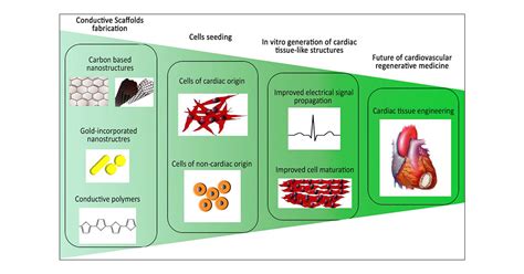 50 Top Emerging Trends in Cardiology to Watch: 2023 Guide