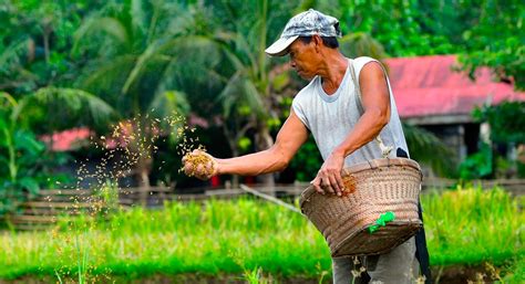 National Farmers Day 2023: HD Images, Quotes, Wishes & Messages