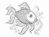 Koi Fish And Pond Coloring  Page sketch template