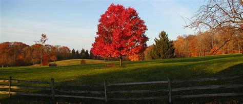 Farm Harvest Festival