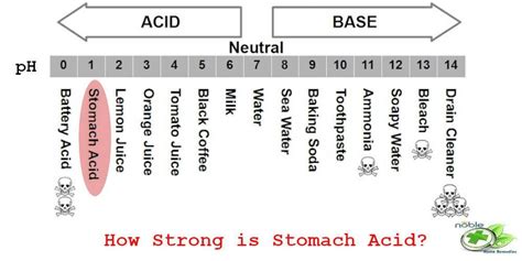 What Does Stomach Acid Look Like?: How Strong Is It?