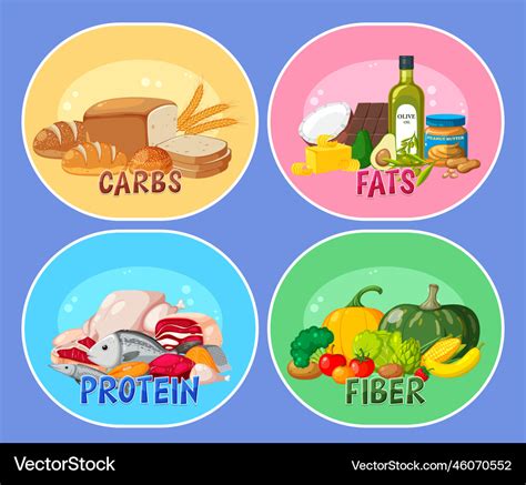 Four main food groups Royalty Free Vector Image