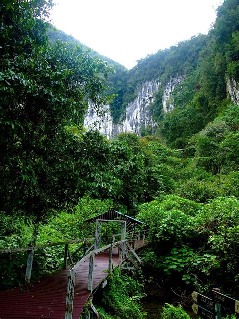 The Gunung Mulu National Park is a national park in Miri Division ...