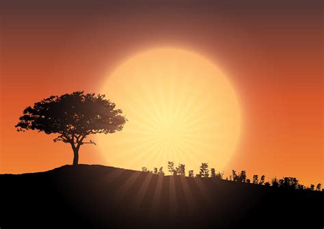 Tree silhouette against sunset sky 267271 Vector Art at Vecteezy