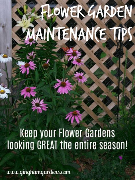 Flower Garden Maintenance Tips - Gingham Gardens