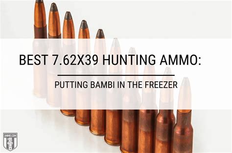 Best 7.62x39 Hunting Ammo Recommended by Ammo.com