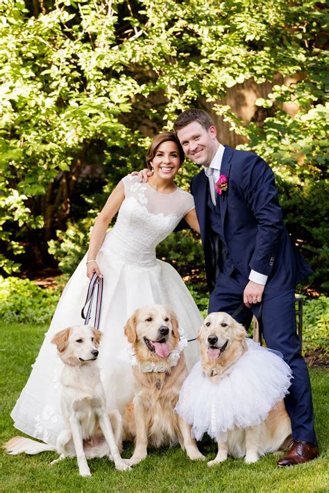 Golden Retrievers in Wedding Attire Photography: Bob & Dawn Davis Photography Read More: http ...