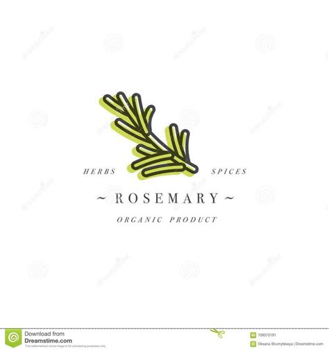 Packaging Design Template Logo And Emblem Herb And Spice Rosemary