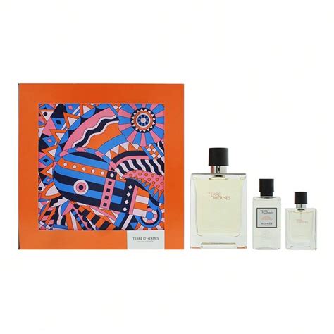 Hermès Hermes Terre D hermes Eau De Toilette 100ml Eau De Toilette 12