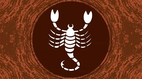 When is scorpio zodiac sign 60 photos - Astrologytoyou.com