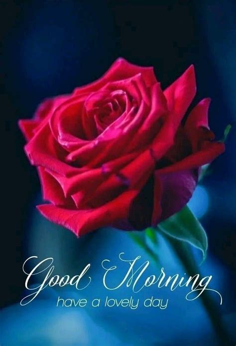 Pin By Satya Vadapalli On Good Morning Good Morning Roses Good