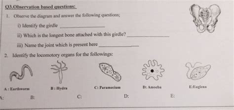 1 Observe The Diagram And Answer The StudyX