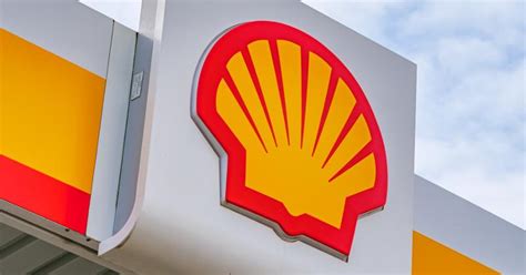shells  quarter adjusted earnings jump