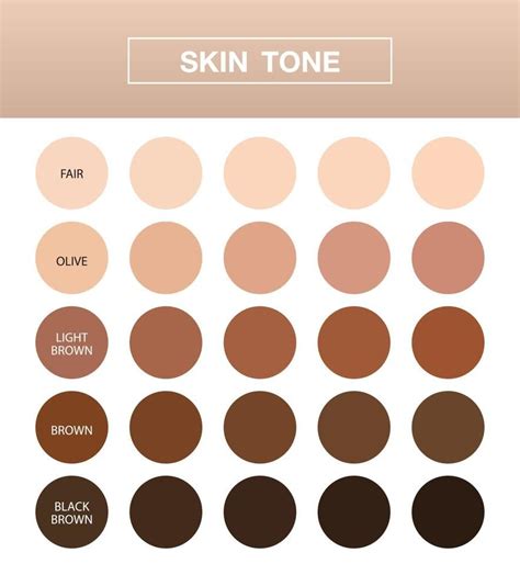 Skin Tone Infographic Color Table Chart Beauty Human Index Vector