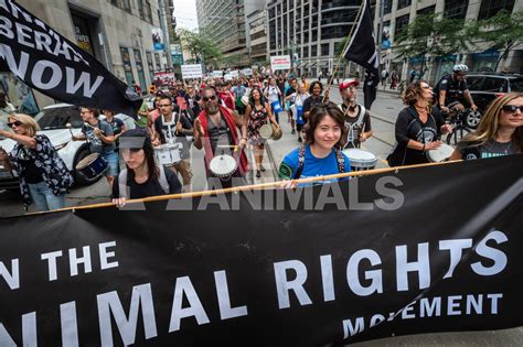 We Animals | The Animal Rights March in Toronto. Toronto, Ontario
