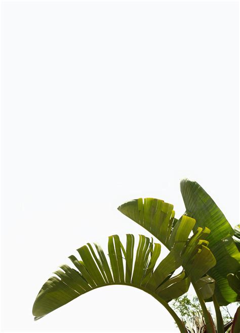 white minimalist pictures wallpaperscom