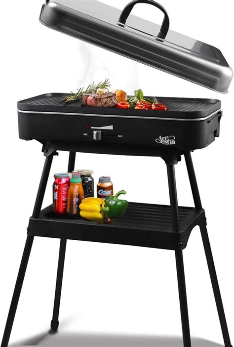 The Portable Best Electric Barbeque Grills For Indoors And Outdoors