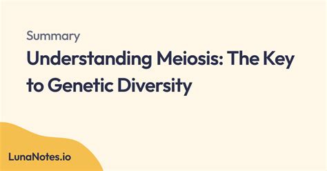 Understanding Meiosis The Key To Genetic Diversity Video Summary By