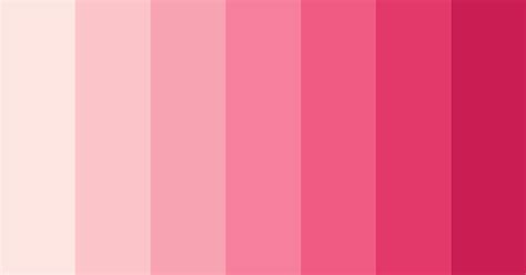 Blush Blossom Dream Color Palette ColorDrop