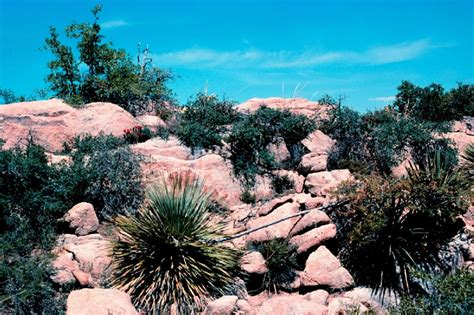 Save Arizonas Oak Flat From Mining