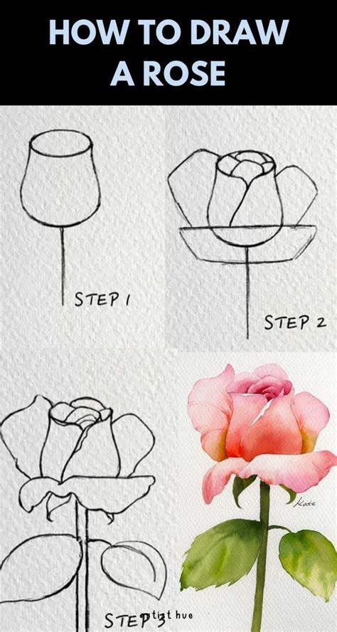 How To Draw Flowers Step By Step For Beginners How To Draw Flowers