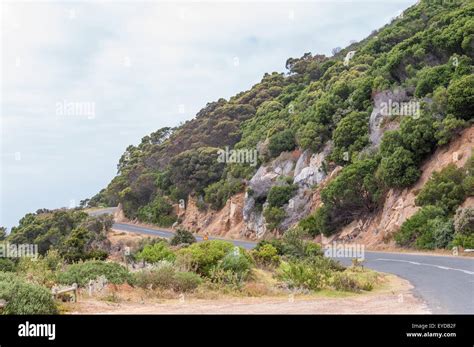 Road To The Cape Point Section Of The Table Mountain National Park In