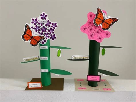 Monarch Butterfly Life Cycle Printable Papercraft Etsy Ciclo De