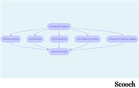 how to dog sick step by step 13