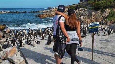 Cape Point Small Group And Table Mountain Tour From Cape Town South