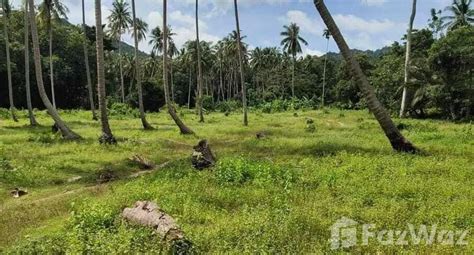 Land For Sale In Maenam Surat Thani For U