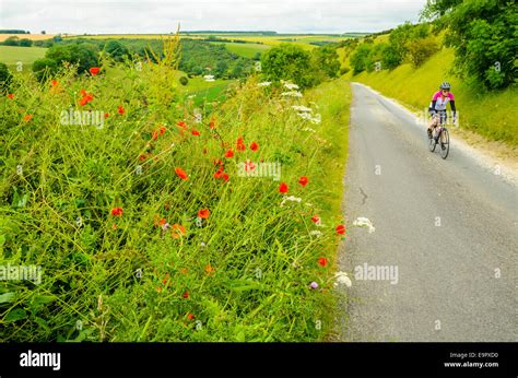 Woman cyclist female riding bicycle hi-res stock photography and images ... 