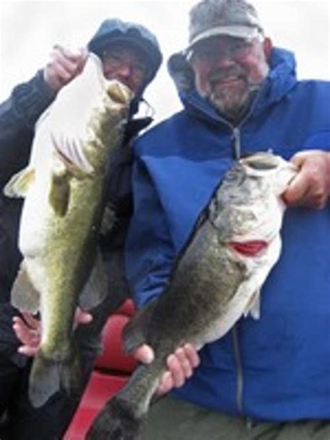 Stephen Cheney Obituary - The Burlington Free Press