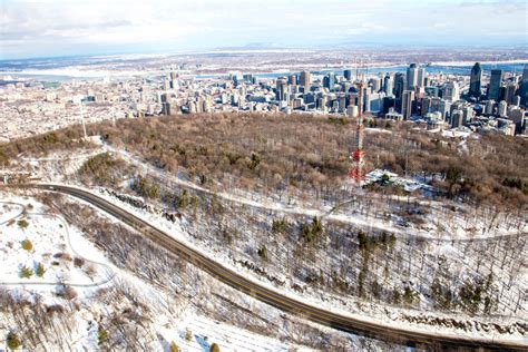 Verdissement Du Parc Du Mont Royal Je Suis Environnementaliste Et