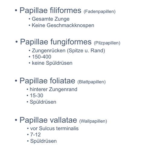 Anatomie Der Verdauungsorgane Karteikarten Quizlet