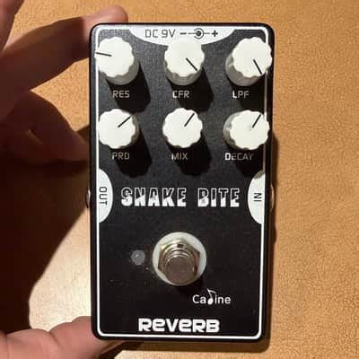 how to snake scared cheap 5