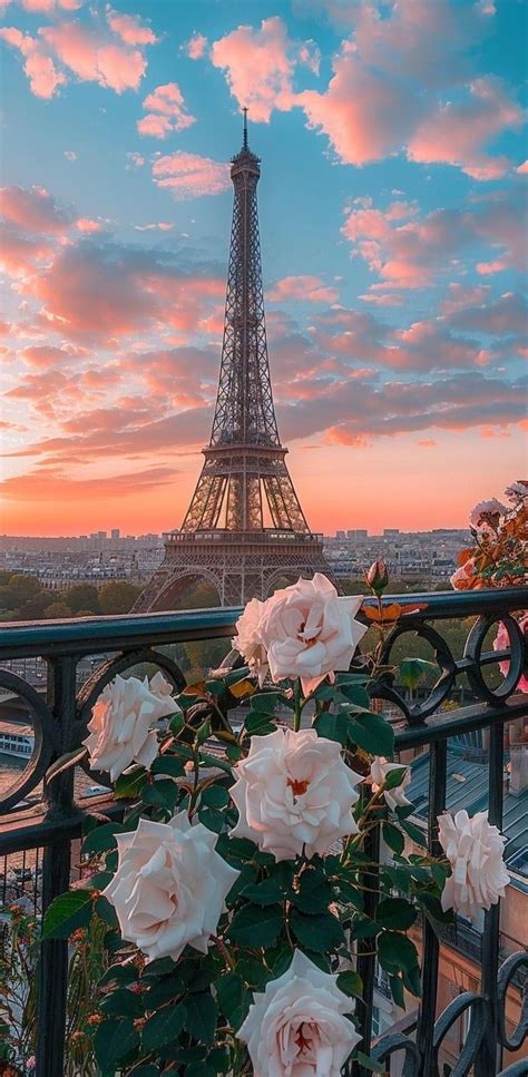 Pin By Aline Domenici On Minhas Viagens Paris Pictures Paris