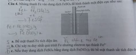 Solved Nhúng thanh Fe vào dung dịch FeSO4 để hình thành một điện cực