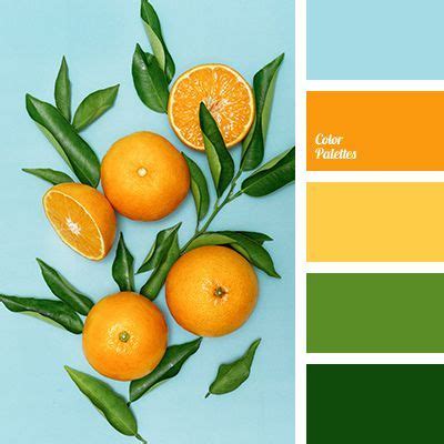 Trendy Kitchen Paint Schemes Colour Palettes Mint Orange Color