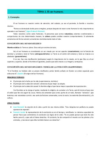 Tema 5 Pdf